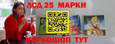прущие грибы Кандалакша