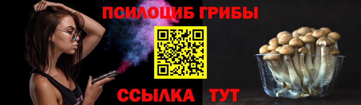 Галлюциногенные грибы Psilocybine cubensis Ликино-Дулёво